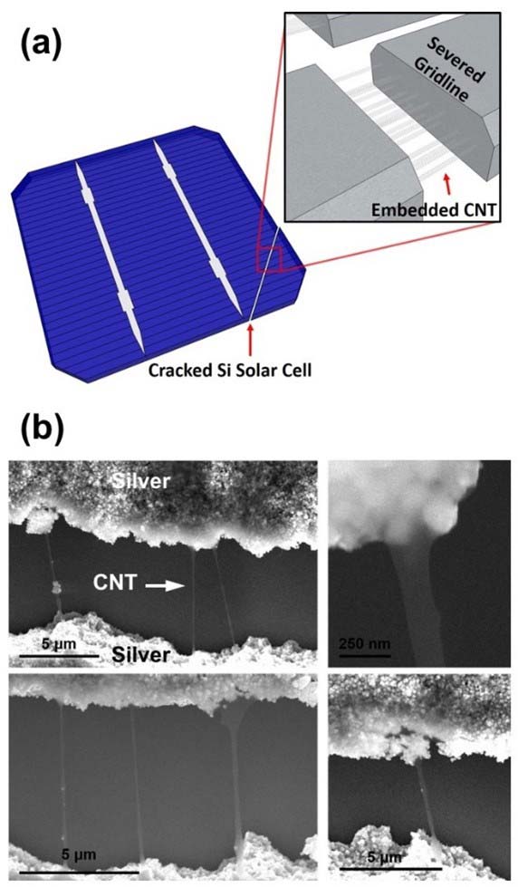 Illustration of a cracked si solar cell and an embedded CNT within a severed gridline, and a photographic image of CNT within Silver