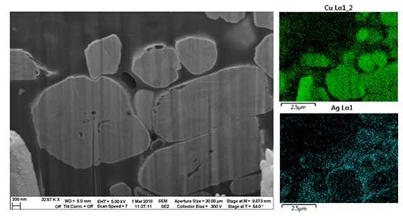 Microscopic images of ECAs