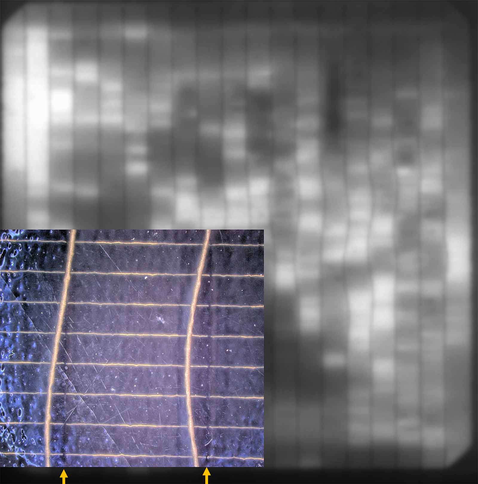 b3a-hacke-interconnect-fig2 Yellow arrows pointing toward bottom of cell.