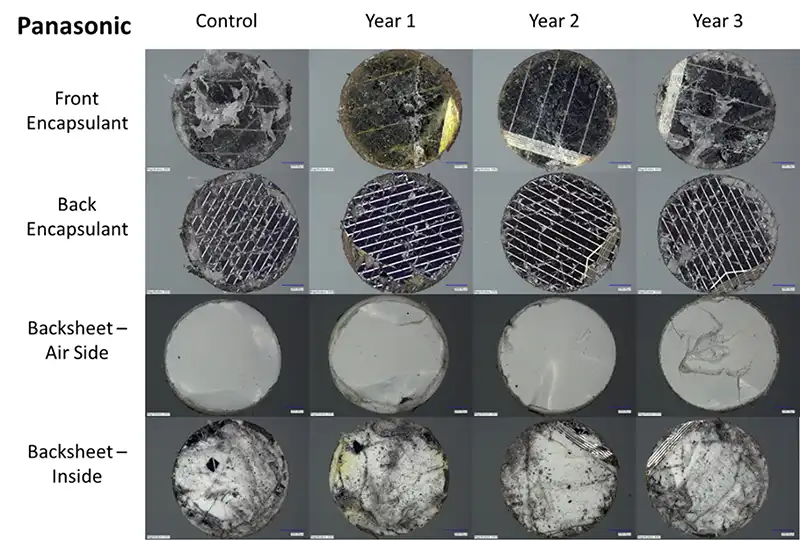 Images showing control and year 1-3 core samples of front encapsulant, back encapsulant, backsheet air side, and backsheet inside.